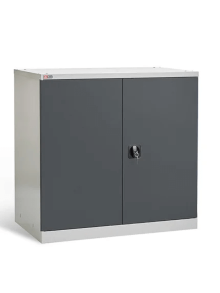 Шкаф инструментальный ДиКом ВЛ-051-02 купить в Северодвинске Шкаф инструментальный ДиКом ВЛ-051-02 купить в Северодвинске