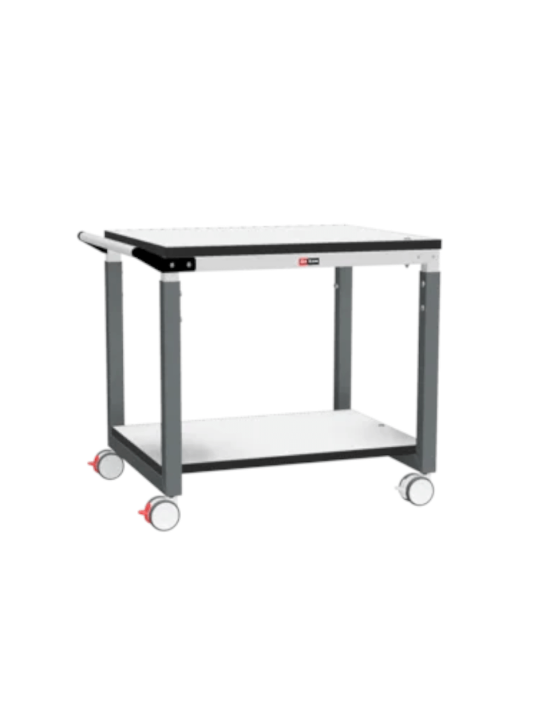 Тележка ДиКом СР-М ДСП купить в Северодвинске Тележка ДиКом СР-М ДСП купить в Северодвинске