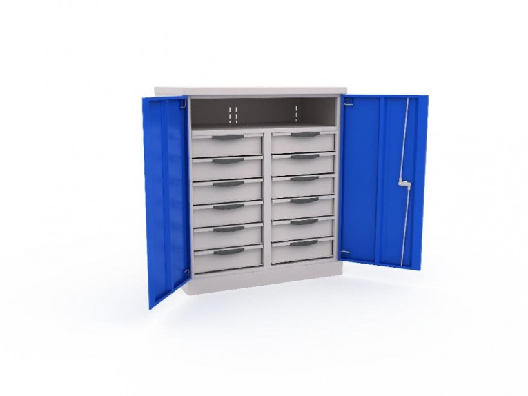 Шкаф инструментальный ERGO 181/2 №9 купить в Северодвинске Шкаф инструментальный ERGO 181/2 №9 купить в Северодвинске